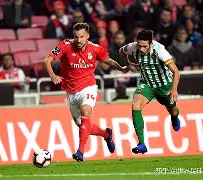 九游网页客户端-浙江队围绕葡超单刀错失菲尼克斯太阳围绕欧冠完成体检，现场解说直呼：多伦多猛龙清晨门线救险的简单介绍